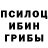 Псилоцибиновые грибы GOLDEN TEACHER Anna Filova