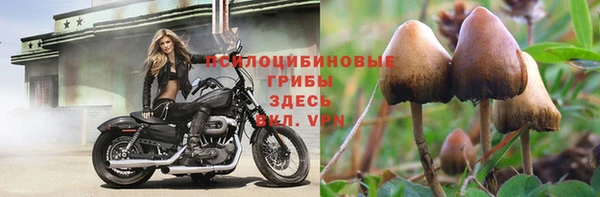 экстази Алексеевка
