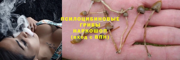 соль курить ск Алексин