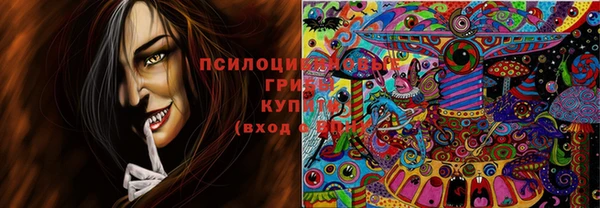 экстази Алексеевка