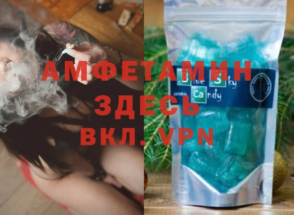прущие грибы Алзамай