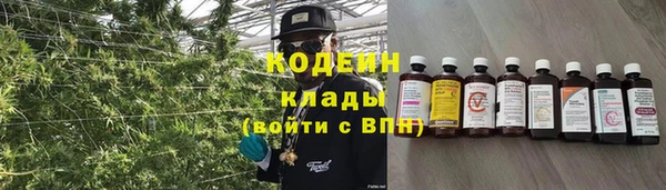 прущие грибы Алзамай