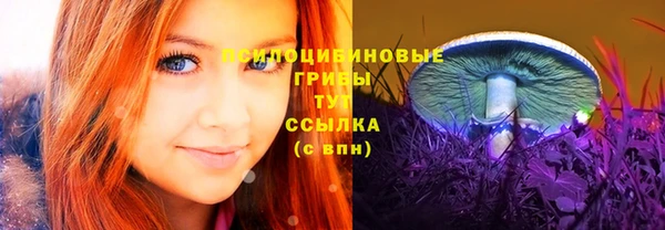прущие грибы Алзамай